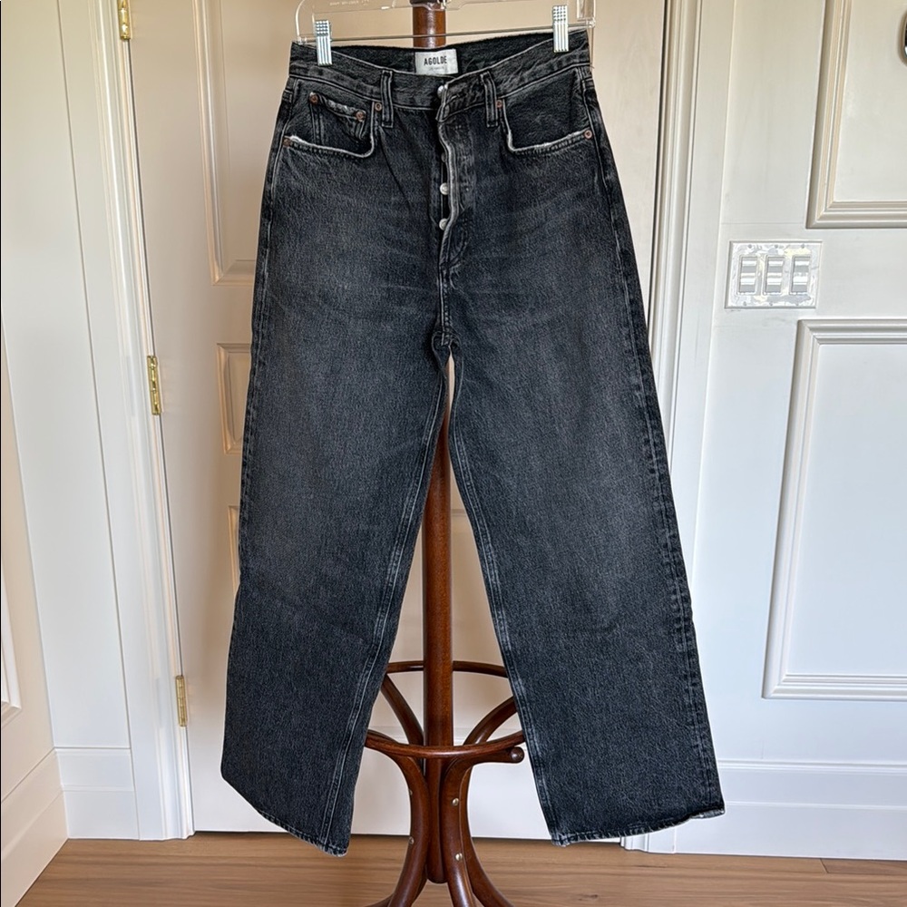 Agolde Low Slung Baggy Jeans